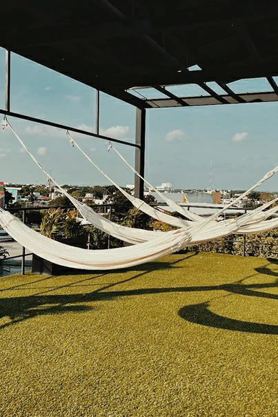 HAMMOCKS